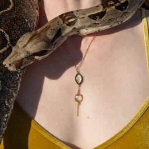 Shapeshifting Temptress